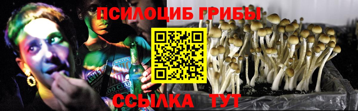 Шали  наркошоп  Вход с VPN  Галлюциногенные грибы Magic Shrooms 