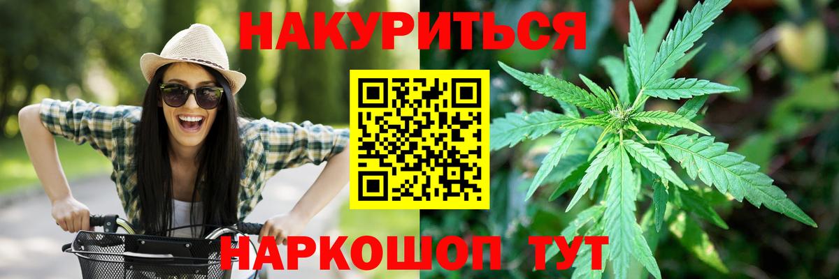 Бошки Шишки план Шали